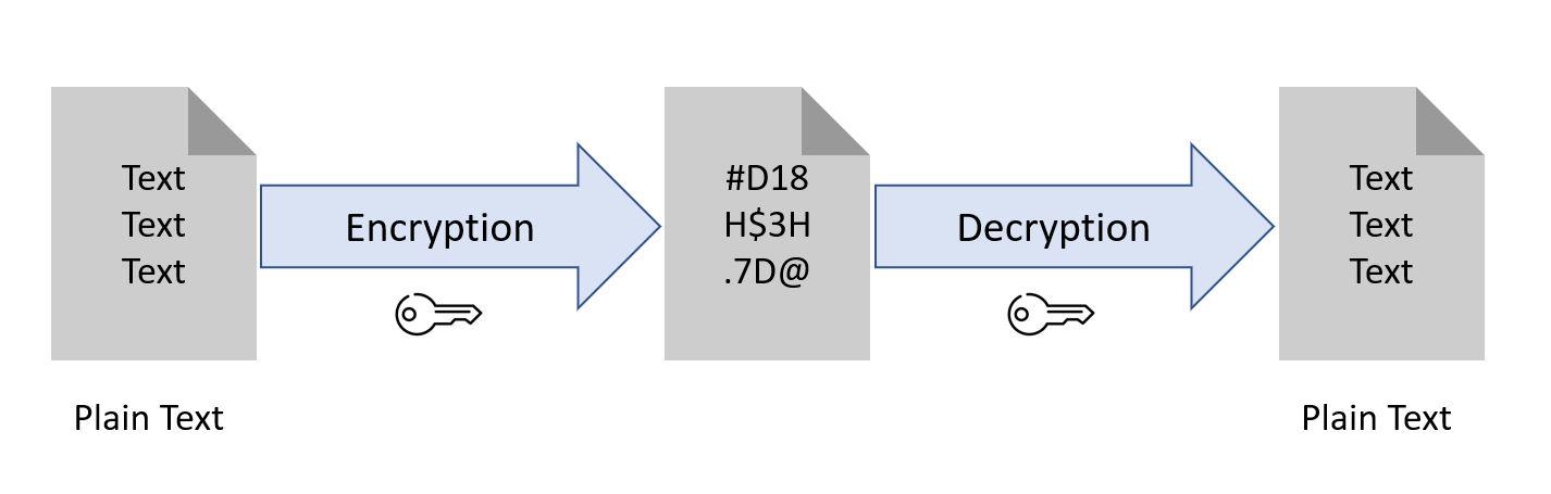 How to Store Login Data in a Database