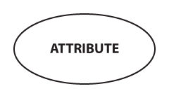 Attribute in the Chen ERD notation