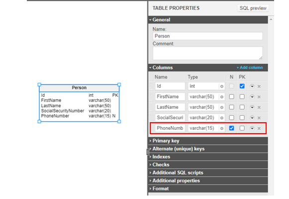 Database Constraints