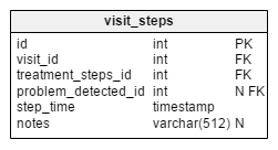 visit_steps table