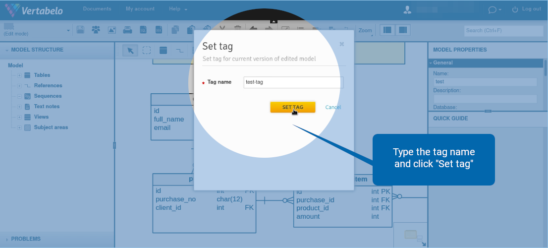 How to Tag a Version of Your Data Model