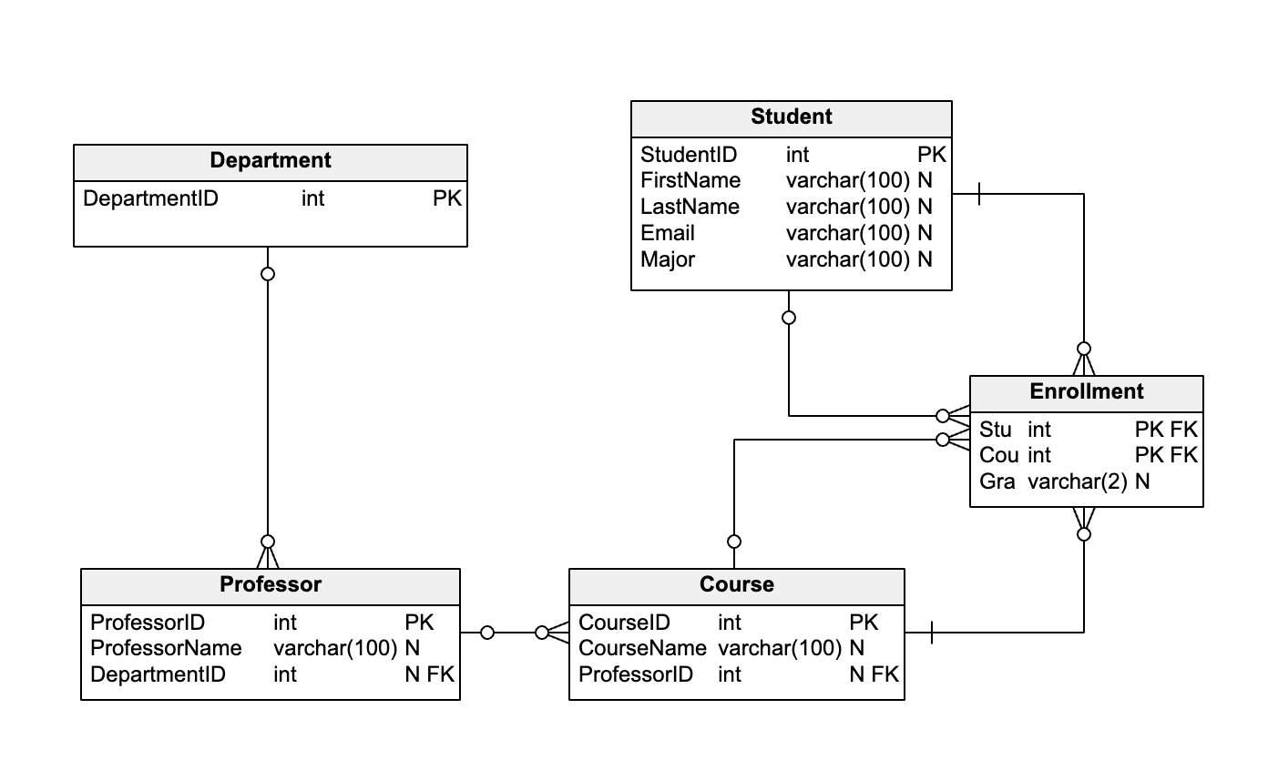 Schema Diagram